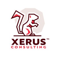 Xerus Consulting (Pty) Ltd logo - Similar company to Xerus