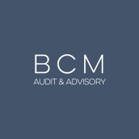 BCM Audit & Advisory AG logo - Similar company to Luxovia