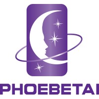 Dalian Phoebetai International Trade Co., Ltd. logo - Similar company to Shenzhen Wk Technology Co., Ltd.