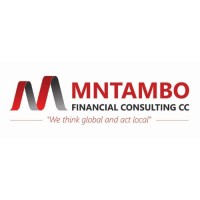 MNTAMBO FINANCIAL CONSULTING logo - Similar company to Nfs Group