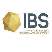 IBS - Informatics Business Solutions logo - Similar company to Colisnet