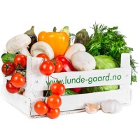 Lunde gård engros AS logo - Similar company to Mex & Global