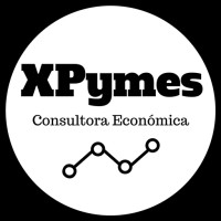 Expertos Pymes Consultora Económica logo - Similar company to Ciees