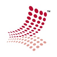 Setex Technologies logo - Similar company to Stoparkinson Healthcare Systems Inc