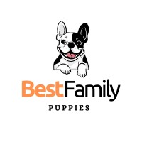 Best Family Puppies logo - Similar company to Intercontinental Ick