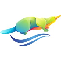 Platypus River logo - Similar company to Penguin.Tech