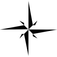 NorthStar AI logo - Similar company to Northstar Impact Analytics