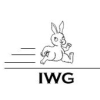 IWG Innovative Werkzeugmaschinen GmbH logo - Similar company to Studio Rigotto