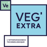 VEG'EXTRA logo - Similar company to Sas Improve