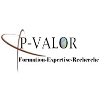 POLYTECH-VALOR logo - Similar company to Obertech Group