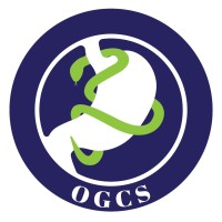 OGCS group logo - Similar company to Omig - Optical Molecular Imaging Groningen