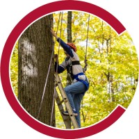 Cornell Selander Center for Engineering Leadership logo - Similar company to Do-Ceo Training