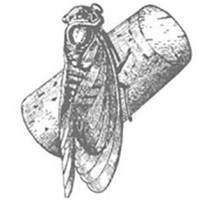 Domaine Pélaquié logo - Similar company to Embag