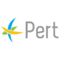 Pert - Gestão De Projetos E Ti