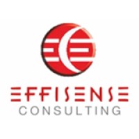 Effisense Consulting logo - Similar company to Krishnatech
