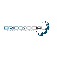 Brico Social Dynamics logo - Similar company to Cjel Imaging Technology Education Solution Pty Ltd
