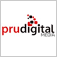 Prudigital Media Pvt Ltd logo - Similar company to Mify Solutions Pvt Ltd