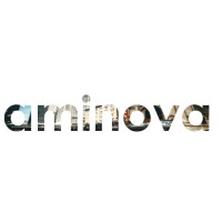 Aminova Inc logo - Similar company to Superthinks.Ai