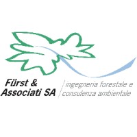 Fürst & Associati SA logo - Similar company to Sols Sa