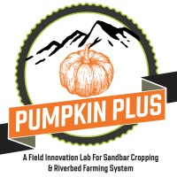 Pumpkin Plus logo - Similar company to Fundação Vítor Baía