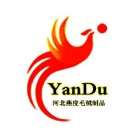 Hebei Yandu Felt Products Co., Ltd. logo - Similar company to Yandu Studio
