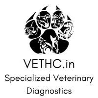 VETERINARY HEALTHCARE COMPANY