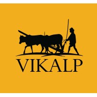 Vikalp logo - Similar company to Graamya