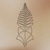 The Fox & Fern Company logo - Similar company to Shift + Alt Events