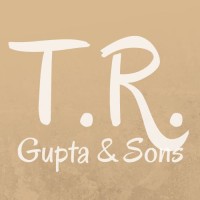 TR Gupta and Sons logo - Similar company to Minerva Merchandising Company Private Limited