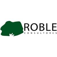 Roble Consultores logo - Similar company to Rigroup Consulting