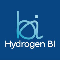 HydrogenBI logo - Similar company to It Desk (Uk) Limited