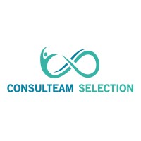 ConsulTeam Selection logo - Similar company to Agc-Consulting