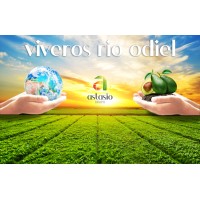 Viveros Río Odiel logo - Similar company to Sanus Agrosolutions