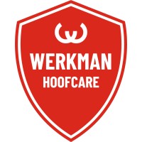 Werkman Hoofcare B.V. logo - Similar company to Van Dam Loopbaanbegeleiding