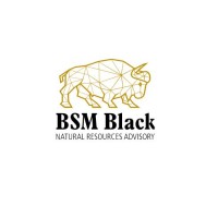 BSM Black - Natural Resources Advisory logo - Similar company to Nelani1834