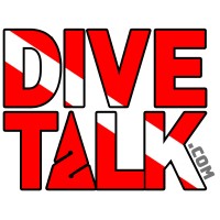 DIVE TALK logo - Similar company to Elev8 Solutions