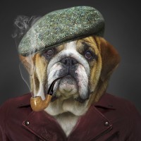 The Cotswolds Gentleman logo - Similar company to Beyond Your Brand Ltd