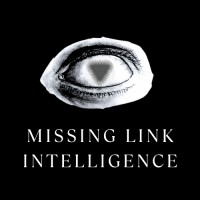 Missing Link Intelligence logo - Similar company to Bitsy