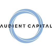 Audient Capital logo - Similar company to Cryptic Nft Gallery