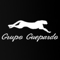 Grupo Guepardo logo - Similar company to Macstechnologies