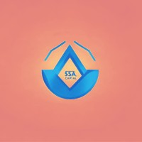 SSA Capital, LLC logo - Similar company to Ssa Capital