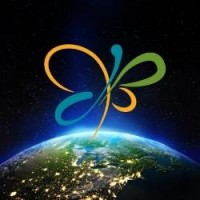 Cerebral Palsy Canada Network logo - Similar company to Millennium Stem Alberta