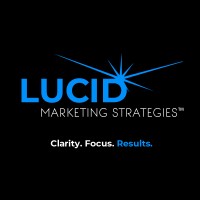 Lucid Business Strategies