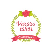 Varázstükör.hu - Egyedi ütős szelfi élmény logo - Similar company to Weloveevents