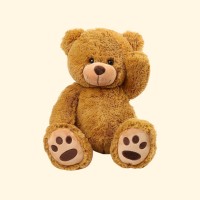 Books & Bears Nonprofit