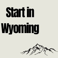 Start in Wyoming logo - Similar company to Hostedhr