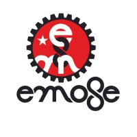 EMOSE SA logo - Similar company to Fieldready