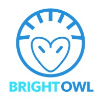 Bright Owl Digital logo - Similar company to Bright Owl