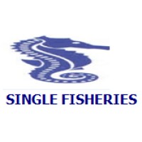 SINGLE FISHERIES logo - Similar company to Frisco Negoce