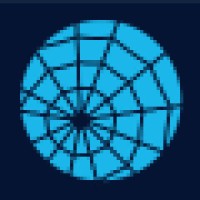 araneae networks logo - Similar company to Fineline Technologies